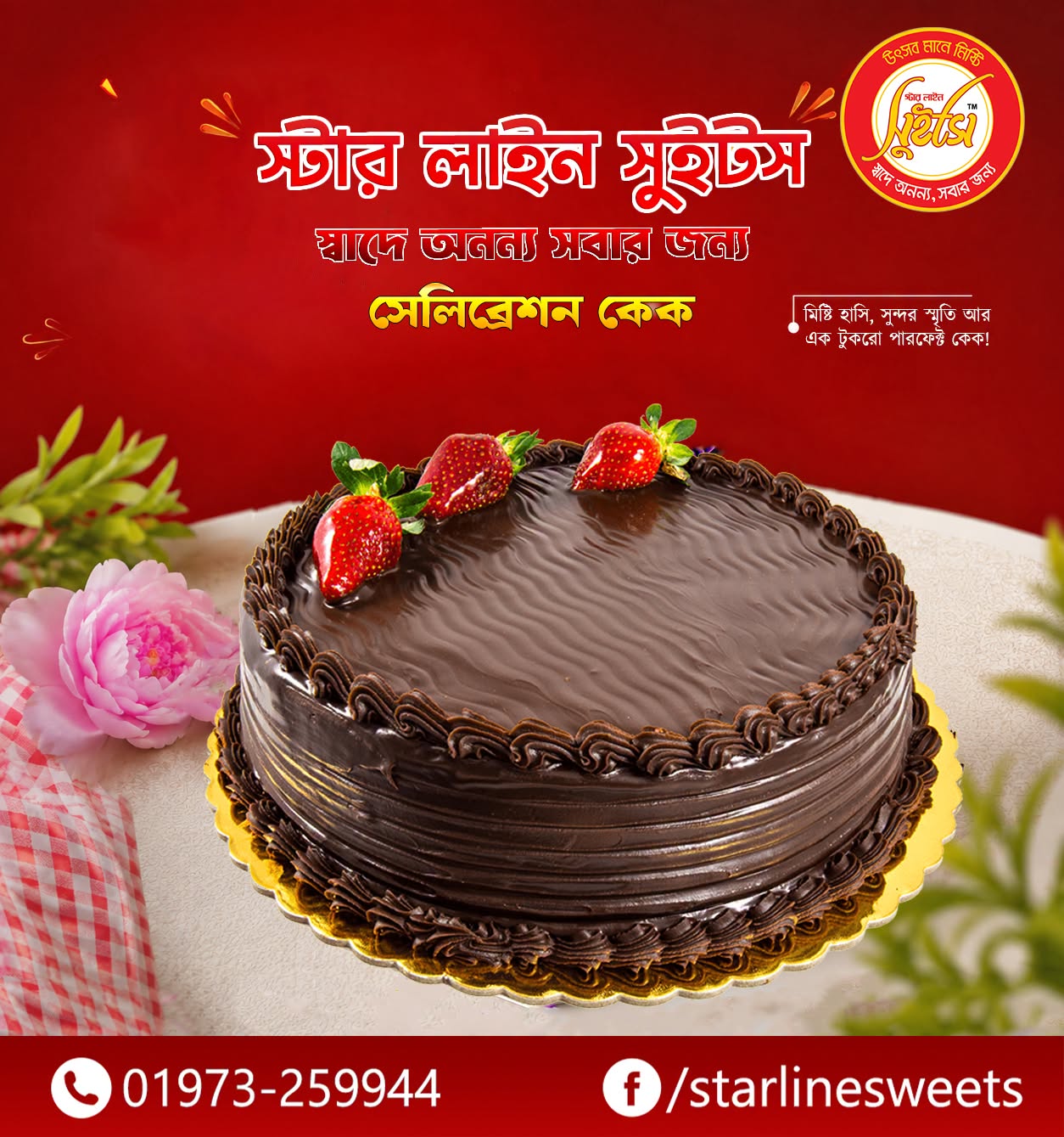 Chiffon Chocolate Cake